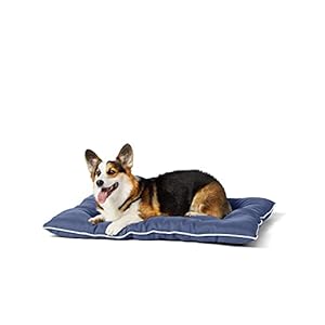 Amazon-Basics-Outdoor-Water-Repellent-Pet-Pillow-Bed-Blue-Medium Outdoor Pet Pillow Bed