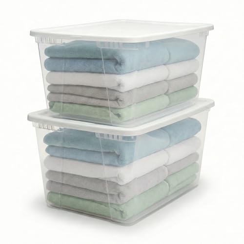 HOMZ Snaplock, Large Clear Plastic Storage Organizer Bins w/Lids, 2 Pack