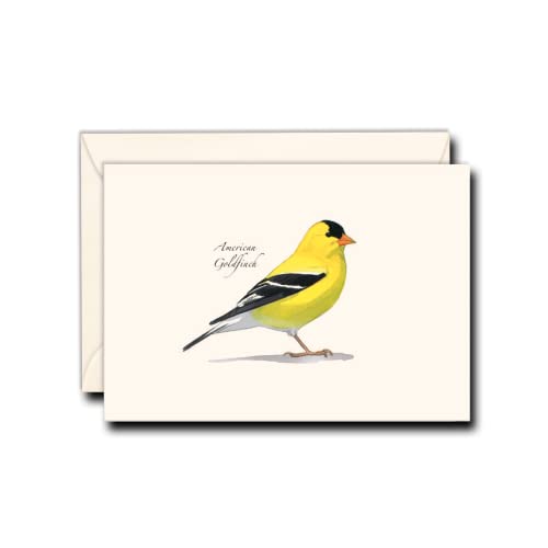 Cartes vierges Sibley Goldfinch Earth Sky Water pour offrir et écrire
