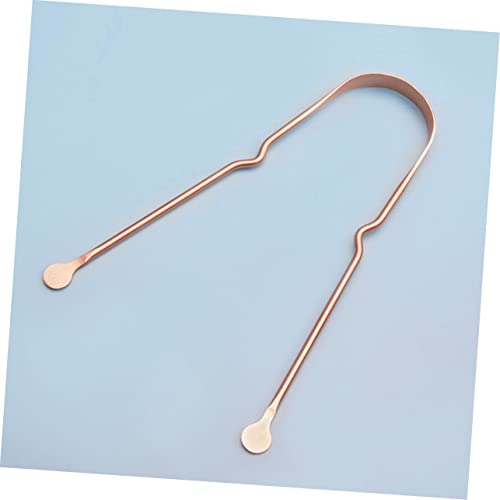 HOMSFOU Espátula Inoxidável 10 Pcs Raspador De Língua Ferramentas Raspadores De Língua Portáteis Lim