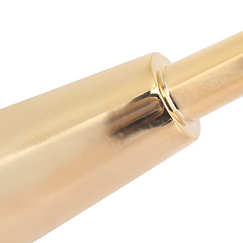 Embouchure de trompette VGEBY accessoire de performance or - 3