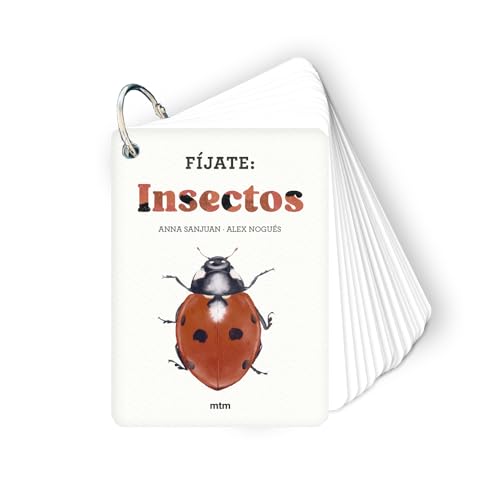 Fíjate: insectos: Pequeña guía para iniciarse en la observación de insectos (Infantil juvenil)