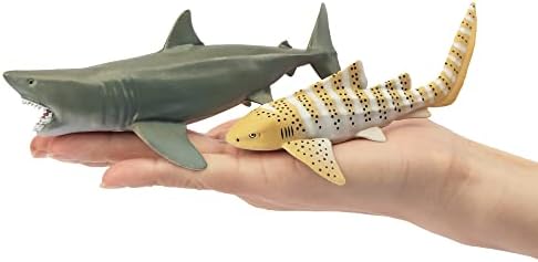 TOYMANY Realistic Shark Figurines Set of 6