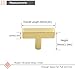 LONTAN 6 Pack Kitchen Cabinet knobs Gold knobs Square Brushed Brass Cabinet Hardware for Bathroom Brushed Gold Handles for cabinets and Drawers