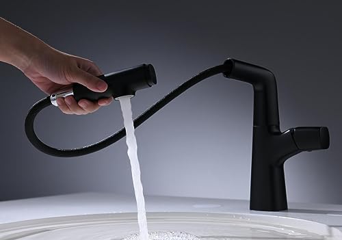 Robinet de lavabo noir et chrome en laiton pour évier de cuisine et salle de bain