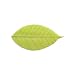Design Ideas Soap Leaves, Box of 20, Green