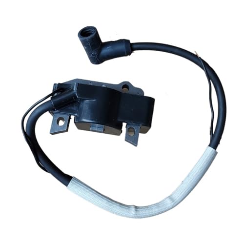 Módulo de bobina de encendido BS50-2 BS60-2 BS70-2 OEM 0154037 3