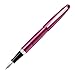 Pilot Cocoon Fountain Pen Fine Nib Bordeaux Body (FCO-3SR-BO-F)