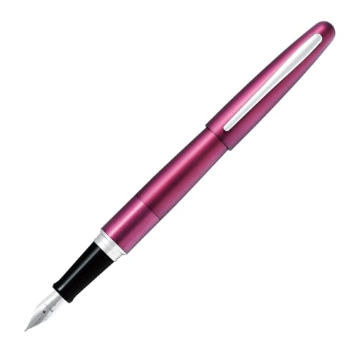 Stylo plume Pilot Cocoon bordeaux : écriture sans bavure avec plume fine