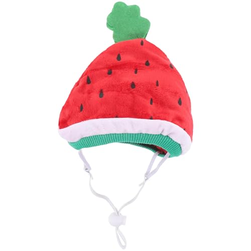 Toddmomy ybgp킢ZXq LpRXvLbv p[eB[ yʂőϋv ^qwbhMA