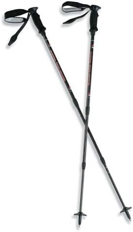 msr walking poles