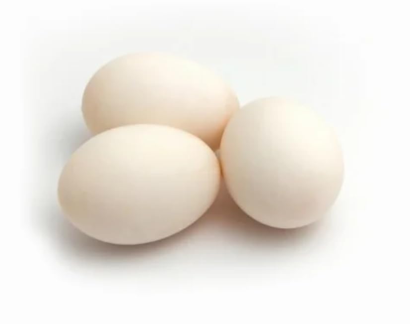 Retail Charms, Wooden Eggs - 3 Pcs / Wooden Egg Toy Playset/Pretend Play Eggs for Kids/Birthday Return Gifts/Fake Eggs/ Wooden Eggs for Kids Made in India Wooden Eggs - Set of 3