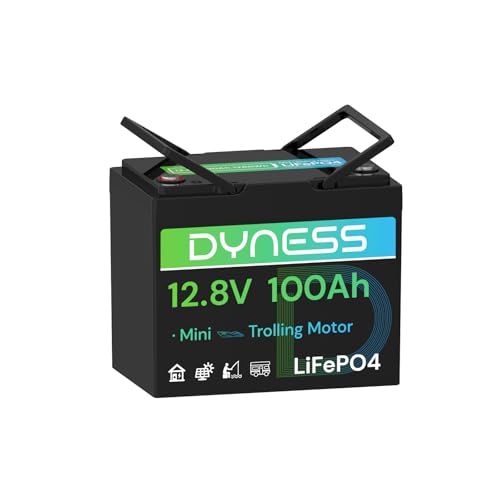 Image of Dyness 12V 100Ah Mini LiFePO4 Battery Group 24, 12.8V Lithium Battery with 100A BMS, Low-Temp Protection & 10 Years Lifespan for Trolling Motor, Marine, Boat, RVs, Solar Off-Grid, Golf Cart