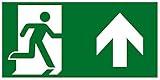 Fluchtwegzeichen -Rettungsweg geradeaus/rechts Oben (E002-4) - Nasenschild - 20 x 40 cm - langnachleuchtend