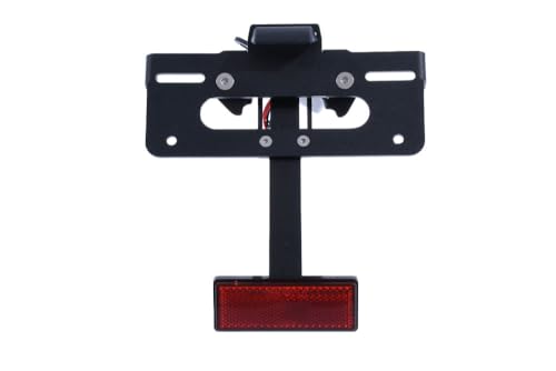 Support de plaque AVDB Triumph Speed Triple RS 1200 pour look épuré sur route