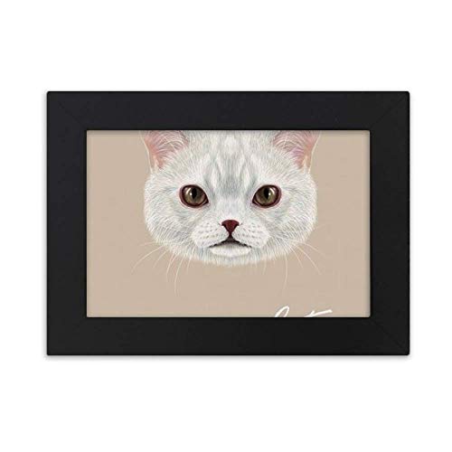 黒 猫 絵画 その他のインテリア雑貨の人気商品 通販 価格比較 価格 Com