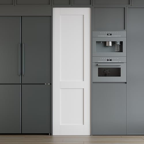 WIN STELLAR 28x80 2-Panel Shaker solid core interior door