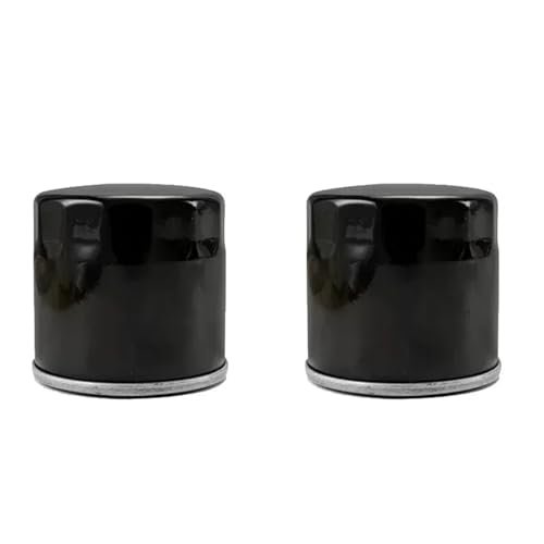 Filtre à huile pour moto Voge DS525X 525R 525ACX d'entretien régulier