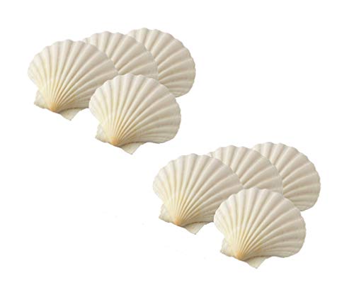 HIC Harold Import Co. 45678/2 Maine Man Baking Shells, 4 Inch, Set of