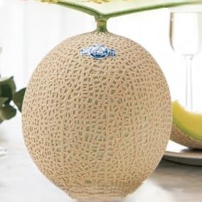 (通年出荷)アローマメロン(山等級) 1玉入(静岡高級マスクメロン)