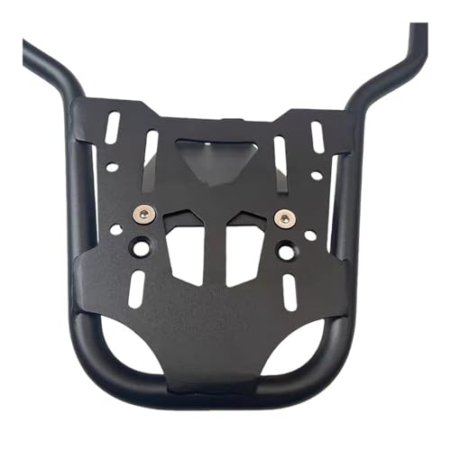 Porte-bagages pour GTS 300 résout le manque de place - 5