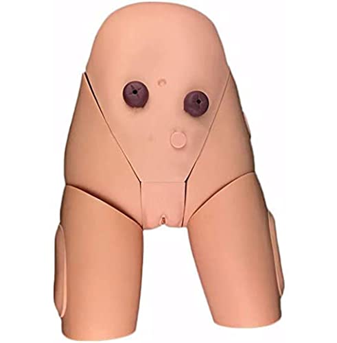 Modelo de catéter humano intercambiable para enseñanza y enema de precisión 8