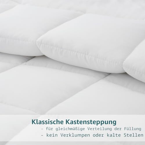 RUIKASI Bettdecke 220x240 Winter Warm Oeko-TEX 450GSM Füllung – Ansicht 4