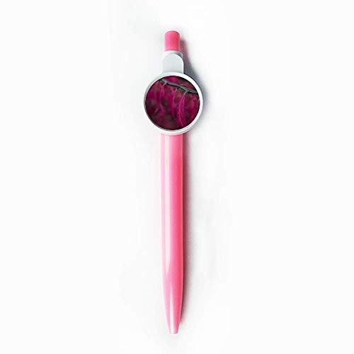 Stylo à bille rétractable bleu et sa feuille rouge idéal pour le bureau