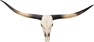 70in Longhorn Wall Decor, Extra Large Authentic Croissant，Cow Skull Wall Decor，cow horns, cow horn wall decoration, long horn skull，Handmade Farmhouse Decor