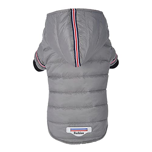 Manteau chiens contre la pluie veste hiver pour Chihuahua M