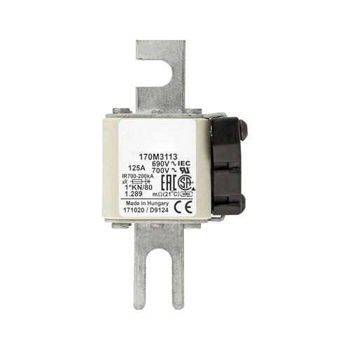Fusible 170M3119 protège vos circuits contre les surcharges série 170M3113 170M3118 - 4
