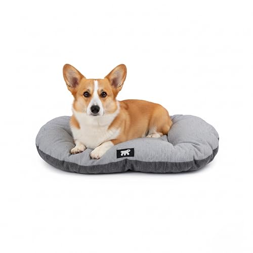 Ferplast Cuccia Cane Relax, Cuscino per cani di medie dimensioni, Cuccia Gatto, Tappetino per cucce e auto -Lavabile - in Cotone con Soffice Imbottitura, 65 x 42 cm. Marrone