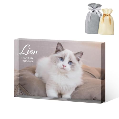 yI[_[Chzybgʔv KXubN CeA tHgt[ NX^ v[g  ybg  d ʔv e KX  ʐ^ LO glassblock003-pet (J[F, )