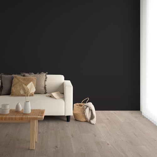 ǎ{ ̂t ǎ c̏ NX n Y25-2948 IuVfBA O[  92cm×mPʁy󒍐YiLZsz