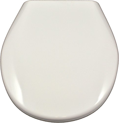 Preisvergleich Produktbild sanicomfort 1908243 WC-Sitz MAUMEE, alpin-weiß