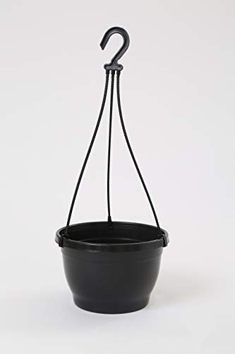 CAPPL 8 Inch Plastic Pot/Hanging Basket (Pack of 6, Black) (B08133JV57) Amazon Price History, Amazon Price Tracker