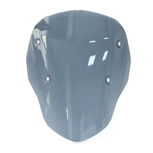 Pare-Brise Moto R1300GS Déflecteur Vent Accessoires 2024