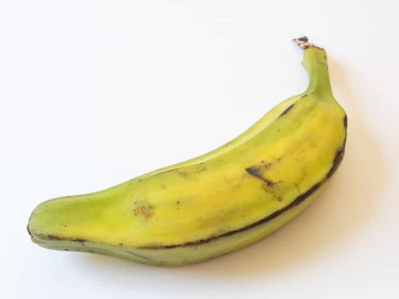 Gurveplantationi -Fresh Banana Live Plant With Plastic Pot. (Burro Banana), Pack of 1 (B09WLZ562M) Amazon Price History, Amazon Price Tracker