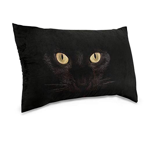Black Cat Eyes Pillowcase For Hair And Skin - Queen Size (20 X 30 Inches) Bed Pillow Cover - Brushed Microfiber, Wrinkle, Fade & Stain Resistant - Hidden Zipper Closure Pillow Case #TOP1