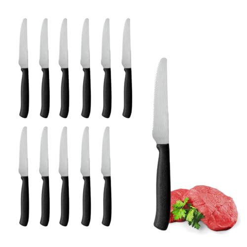 PALUPLUS Set 12 Coltelli da Carne con Punta TONDA in Acciaio Inox, Lunghezza 21 cm, Lama Seghettata e Temprata, Impugnatura Ergonomica, Coltelli da tavola per Bistecca e Pizza, Made Italy -392