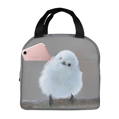 `obO V}GiK  ۗ ۉ ٓobO  RpNg O|Pbgt ~jg[gobO p肳obO fB[X Y ʋ ʊw s fB[X Y qp