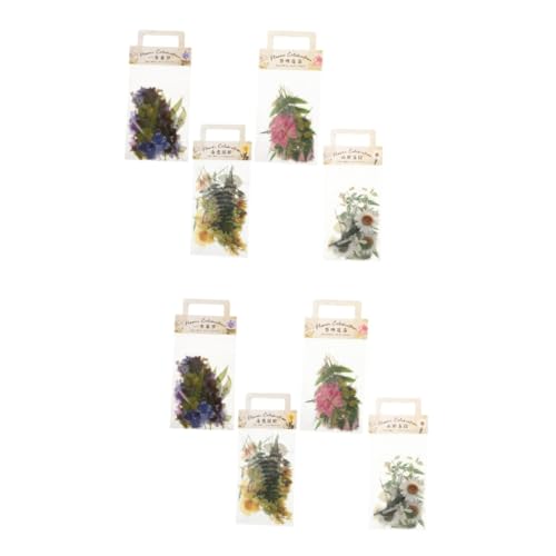 HEMOTON Paquete De 8 Juegos De Pegatinas Para Mascotas Pegatinas Transparentes Para Botellas De Agua Cinta Adhesiva Transparente Pegatinas Para Uñas Pegatinas De Flores Decoración