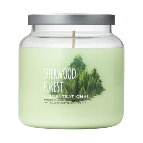 Scentsational Sherwood Forest Jar Candle – Large 19 Oz Soy
