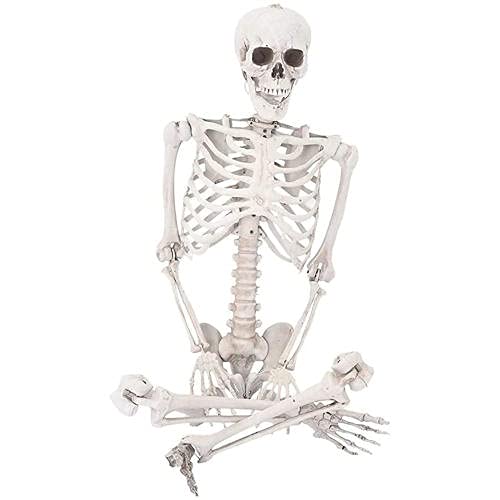lxymyxl Halloween Decorations Skeleton Full Body, Scary Full Body Life-size Skeleton Prop Posable Joints Skeletons for Indoor Outdoor Yard Home Halloween Party Decor Haunted House Déco