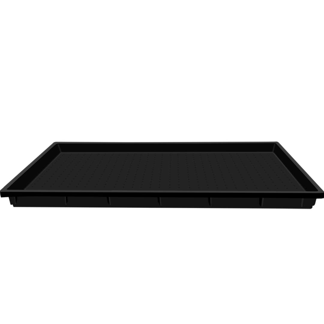 See full amazon price history chart for TrustBasket Wheat Grass Trays - Set of 2 Growing Microgreen Tray, Hydroponics, Seedling Starter for Greenhouse, Hydroponics, Vegetables, Flower Germination, Paddy Tray, Thick Reusable TrustBasket Wheat Grass Trays - Set of 2 Growing Microgreen Tray, Hydroponics, Seedling Starter for Greenhouse, Hydroponics, Vegetables, Flower Germination, Paddy Tray, Thick Reusable (B07QPTPHR3) Amazon Price History, Amazon Price Tracker