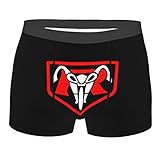 メンズ ボクサーパンツ 仮面ライダー 下着 ローライズ ボクサーブリーフ Briefs 抗菌防臭 アンダーウェア 男性パンツ ストレッチ 前閉じ スポーツ 吸水速乾 通気性 プレゼント S-2XL