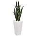 Nearly Natural 4? Sansevieria Artificial White Tower Planter Silk Plants Green