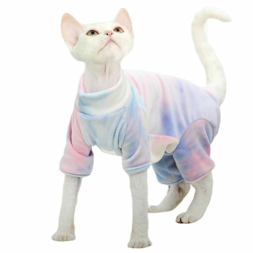 Body pour chaton sans poils contre le froid et les frissons
