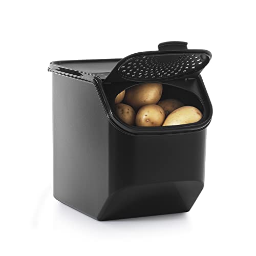 Tupperware Récipient intelligent pour pommes de terre, prolonge la durée de conservation des pommes de terre, y compris les patates douces, facile à nettoyer