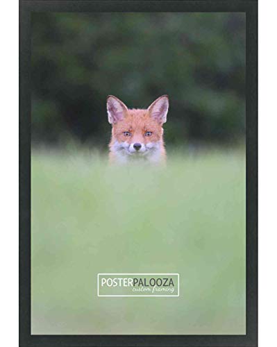 Poster Palooza 21x28 Contemporary Black Wood Picture Frame - UV Acrylic, Foam Board Backing, & Hanging Hardware Included!